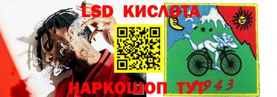 стаф Новокубанск