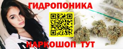 скорость Новодвинск