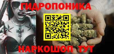 стаф Новокубанск