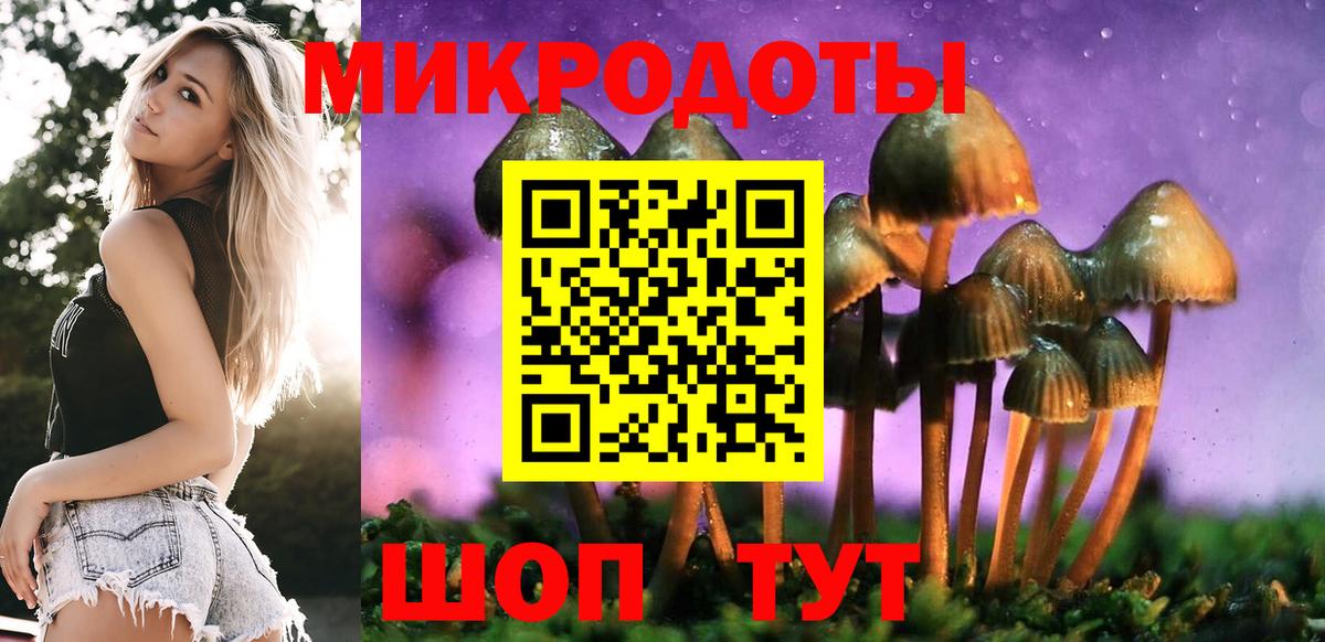 Галлюциногенные грибы мухоморы Сочи
