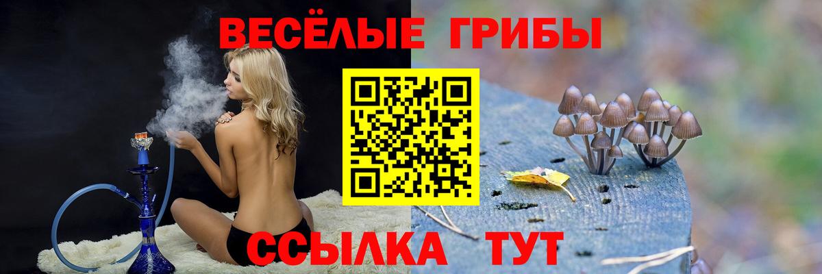 Псилоцибиновые грибы Cubensis  Вход с VPN  Псилоцибиновые грибы ЛСД  Сочи 